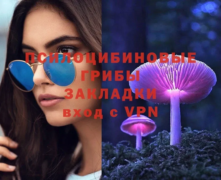 дарк нет клад  Еманжелинск  Псилоцибиновые грибы MAGIC MUSHROOMS 